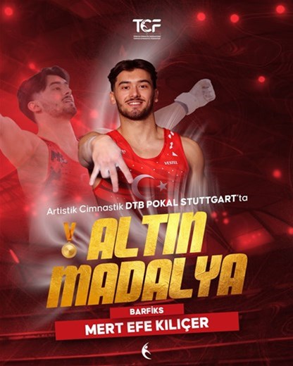 Barfiks aletinde Mert Efe'den altın! 